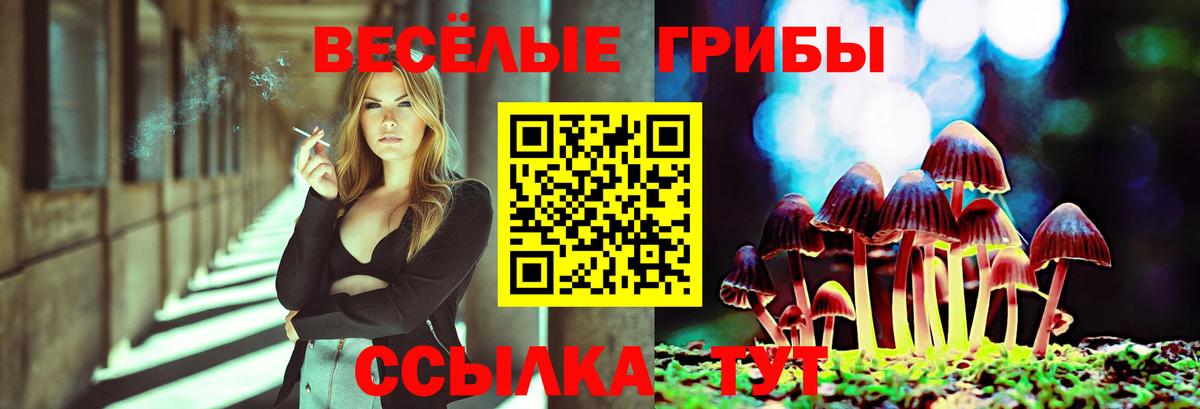Галлюциногенные грибы Psilocybine cubensis  Вход с VPN  Омск  Галлюциногенные грибы ЛСД 
